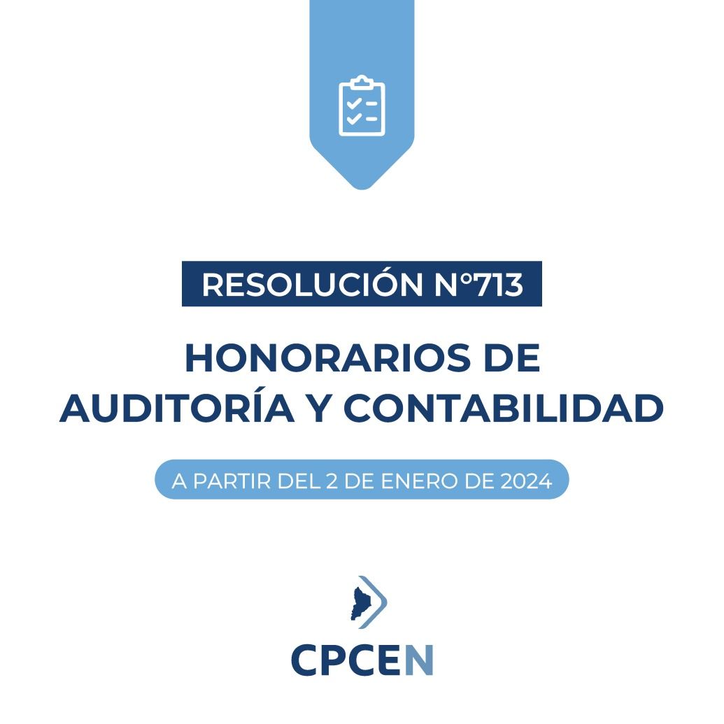 Resolucion 713 - HONORARIOS AUDITORIA Y CONTABILIDAD 2024