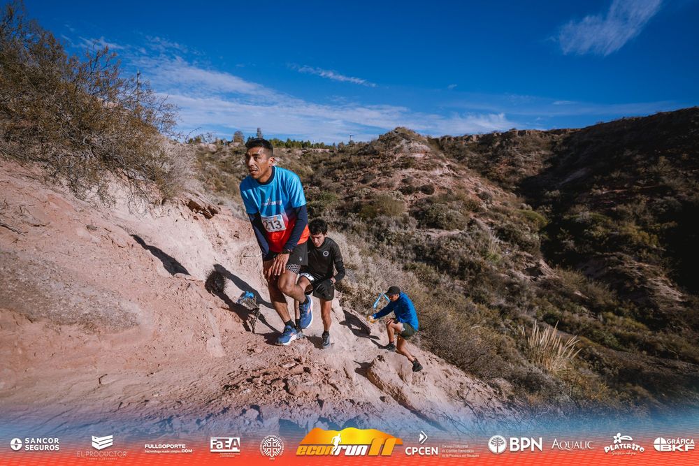 Econrun Edición 11