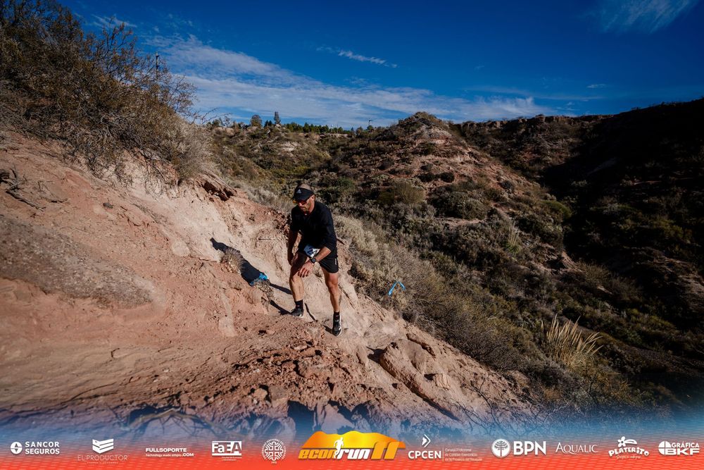 Econrun Edición 11