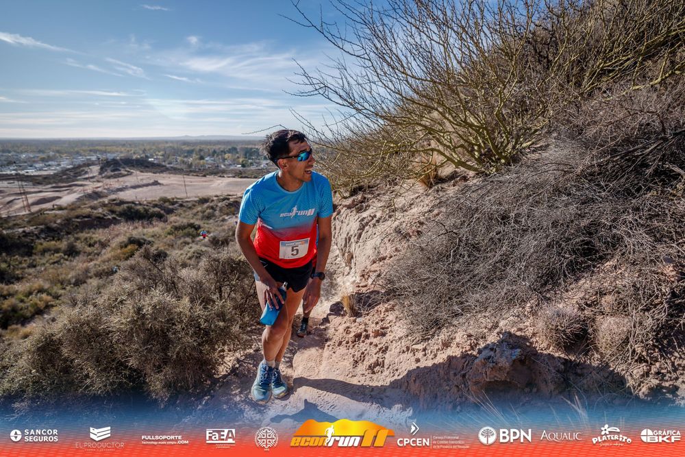 Econrun Edición 11