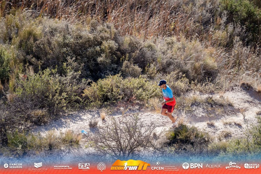 Econrun Edición 11
