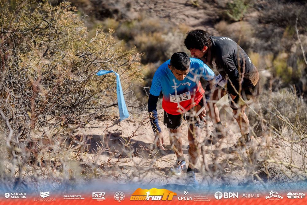 Econrun Edición 11