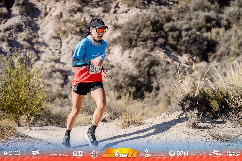Econrun Edición 11