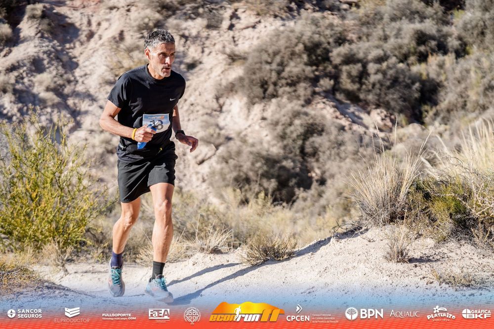 Econrun Edición 11