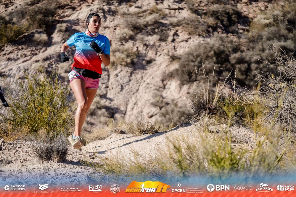 Econrun Edición 11