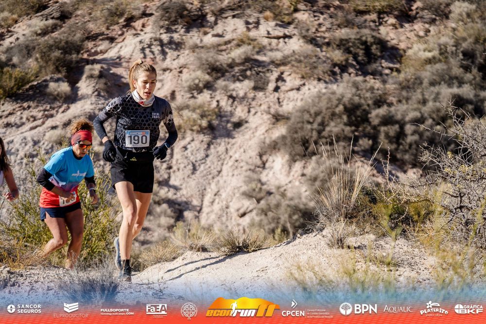 Econrun Edición 11