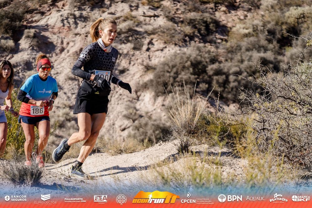 Econrun Edición 11