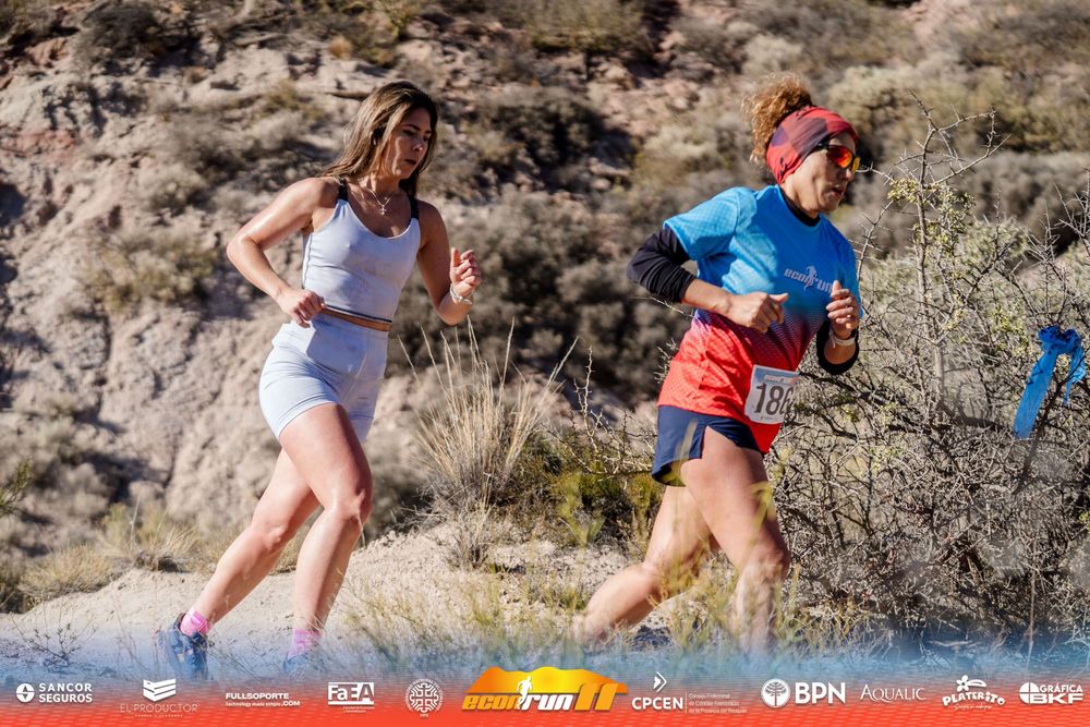 Econrun Edición 11
