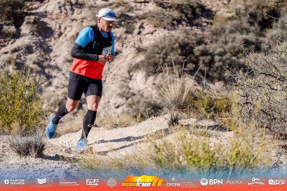 Econrun Edición 11