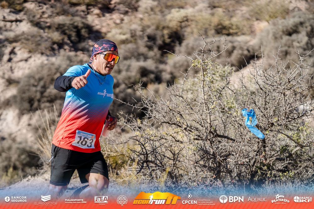 Econrun Edición 11