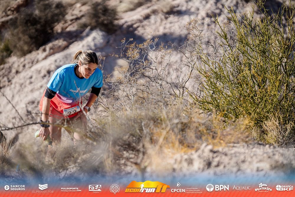Econrun Edición 11