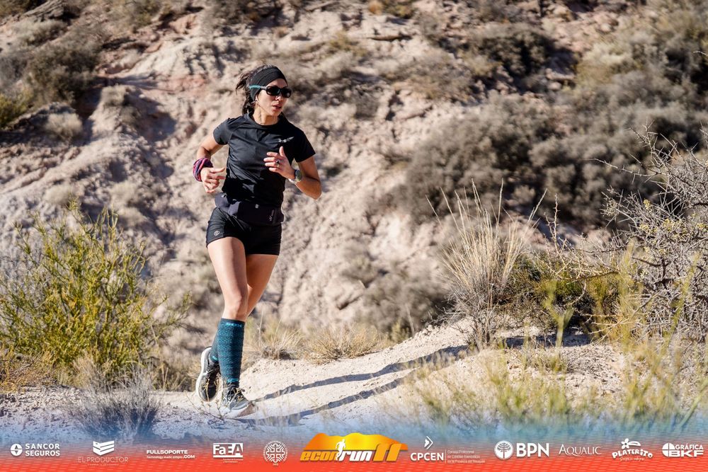 Econrun Edición 11