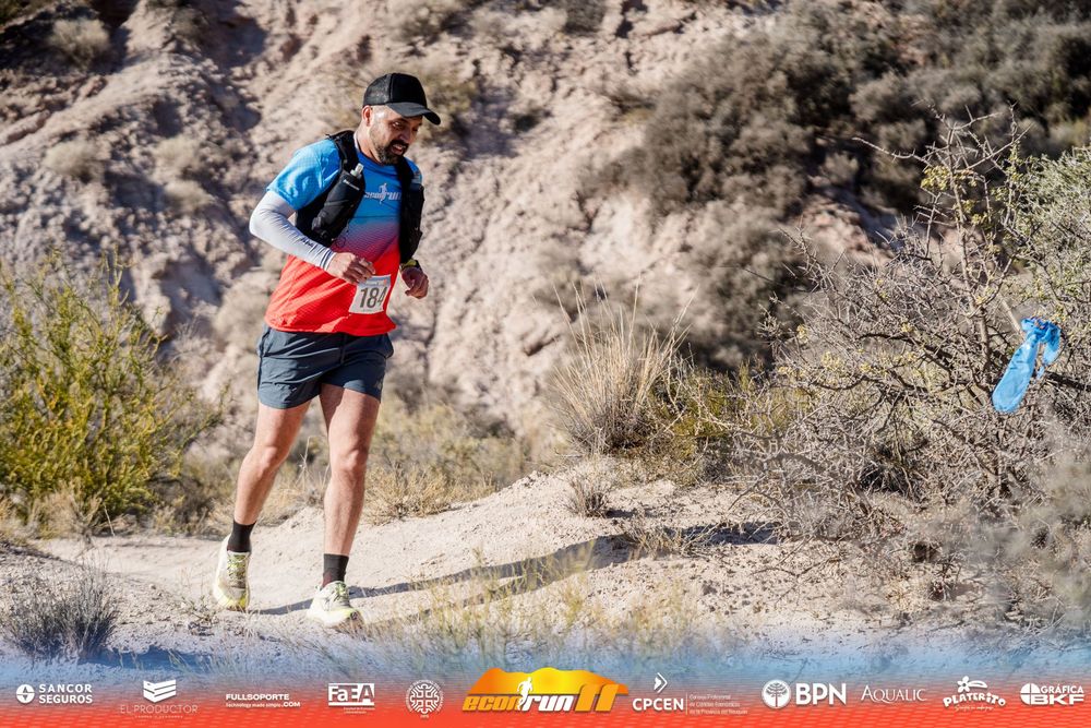 Econrun Edición 11