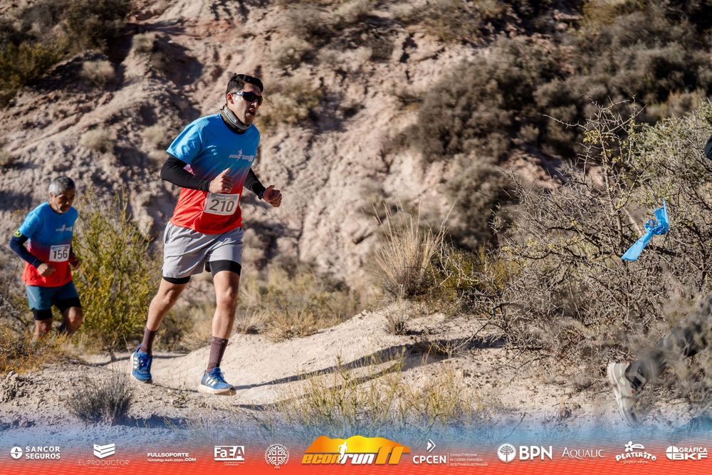 Econrun Edición 11