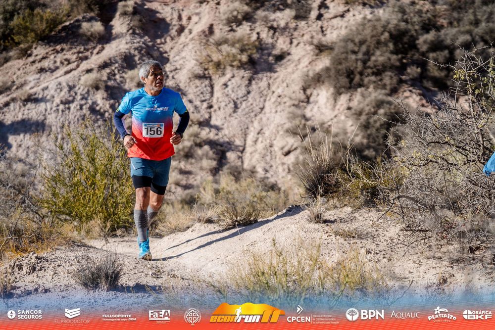 Econrun Edición 11