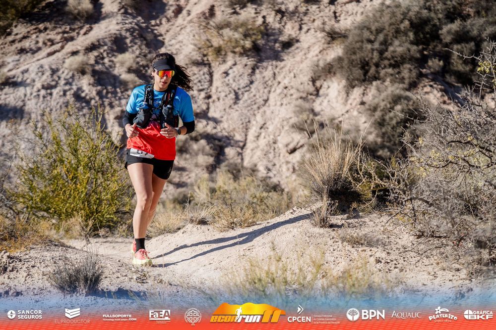 Econrun Edición 11