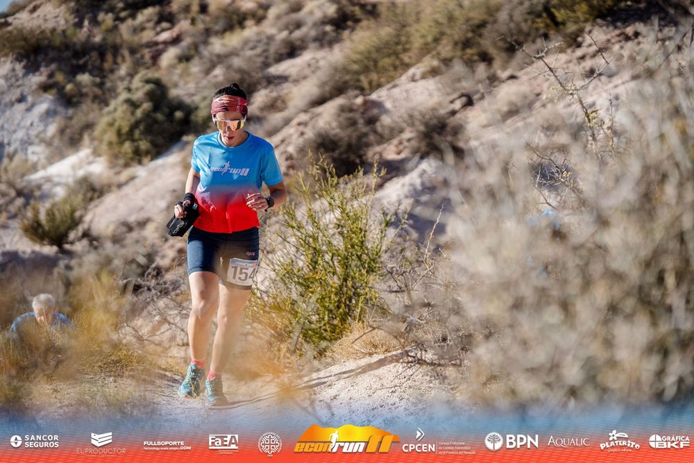 Econrun Edición 11