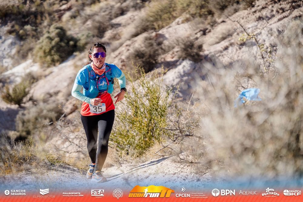 Econrun Edición 11