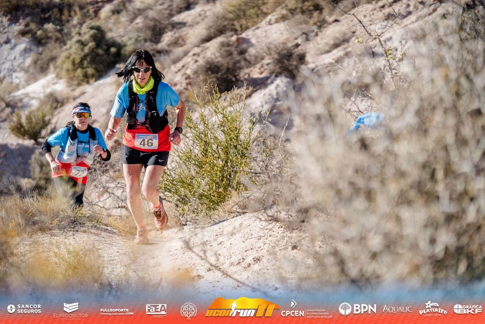 Econrun Edición 11
