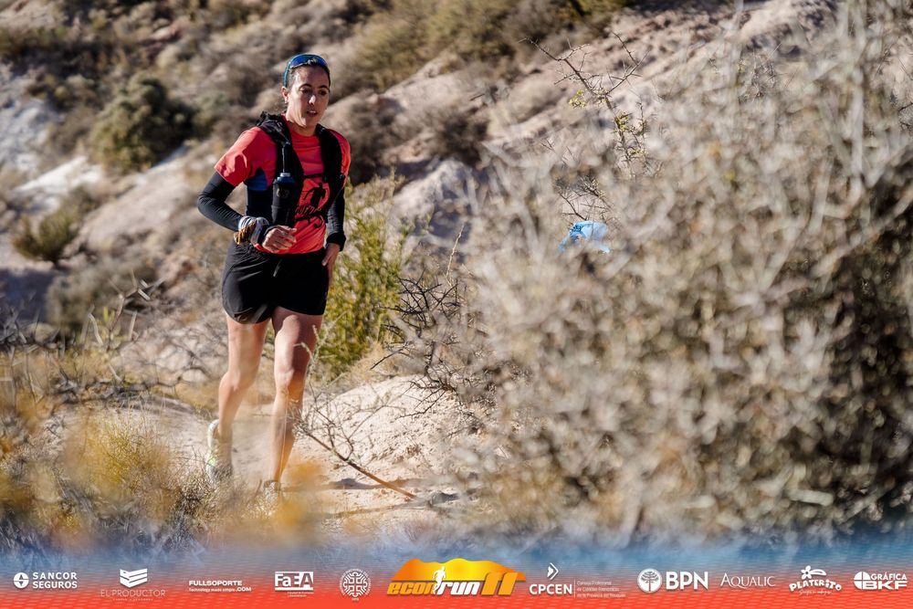 Econrun Edición 11