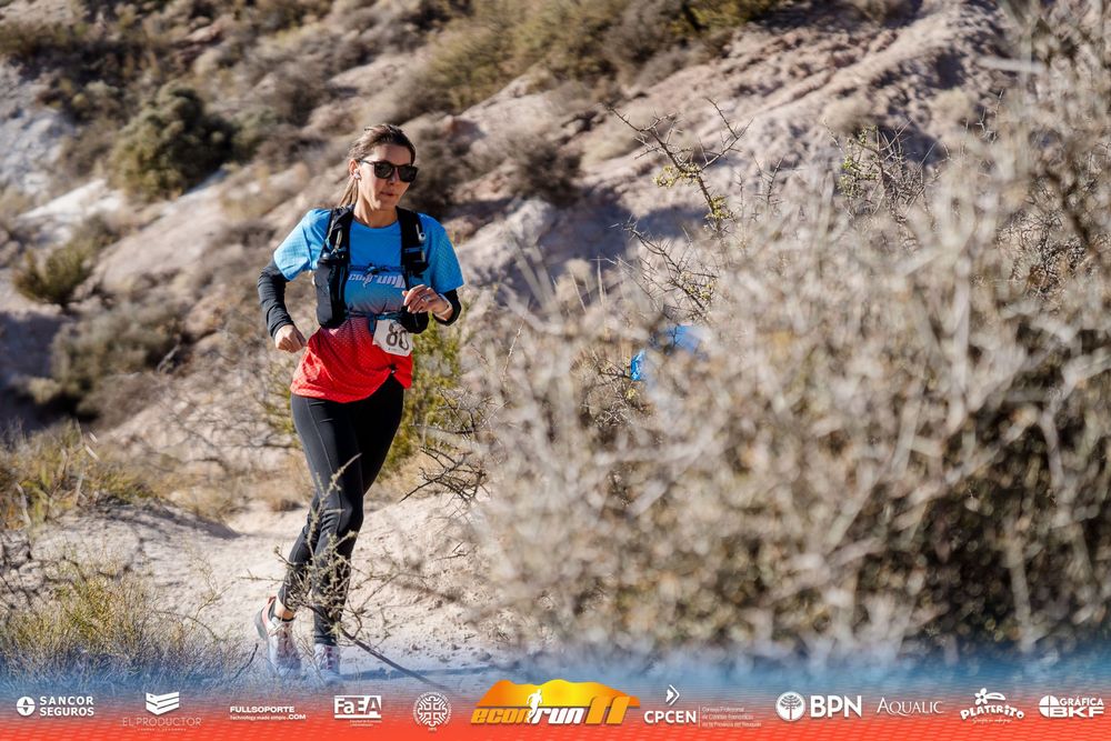 Econrun Edición 11