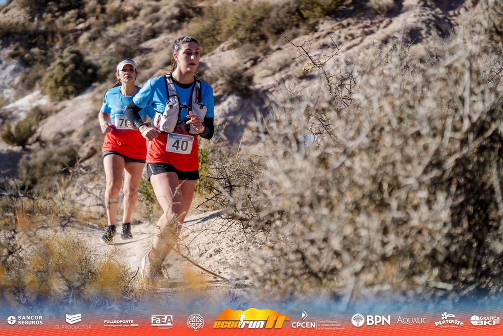 Econrun Edición 11