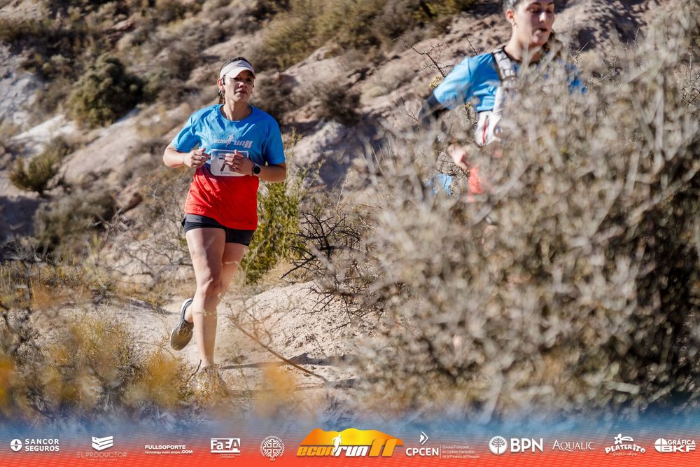 Econrun Edición 11