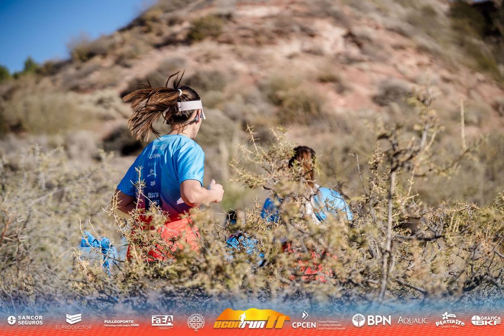 Econrun Edición 11