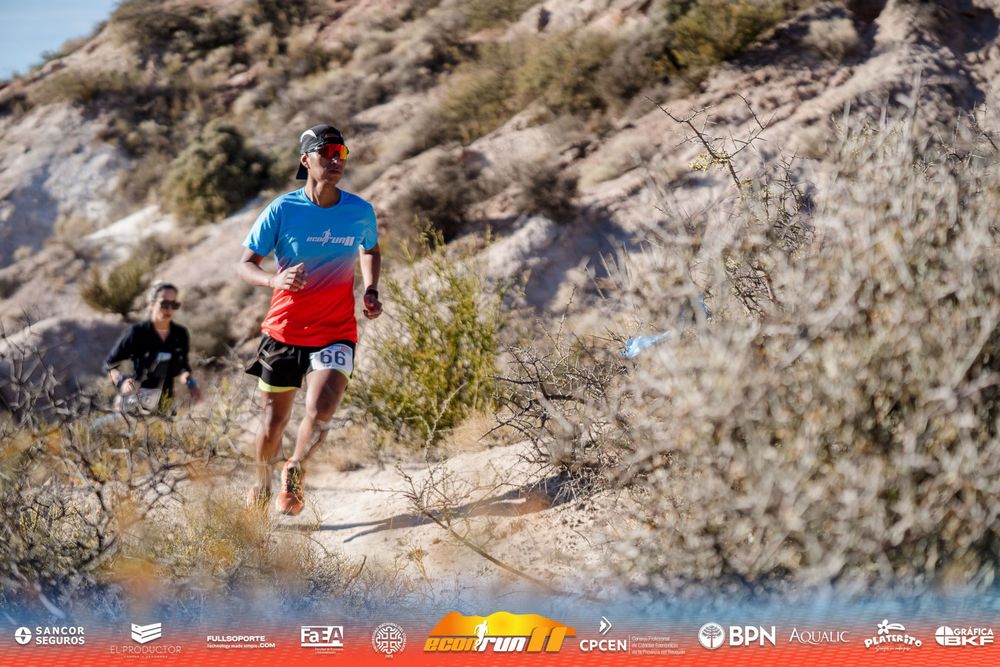 Econrun Edición 11
