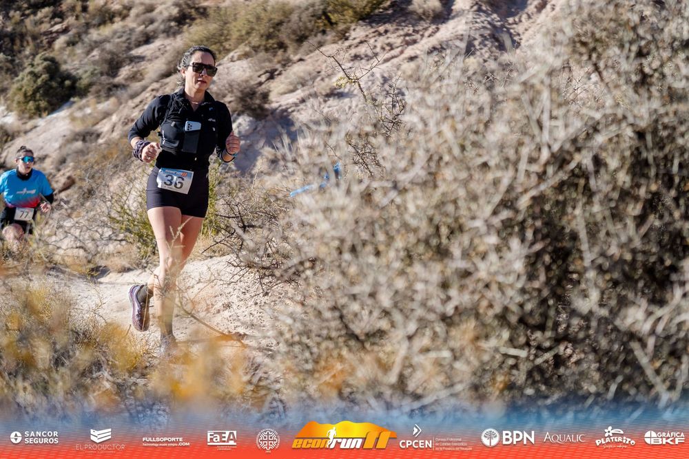 Econrun Edición 11