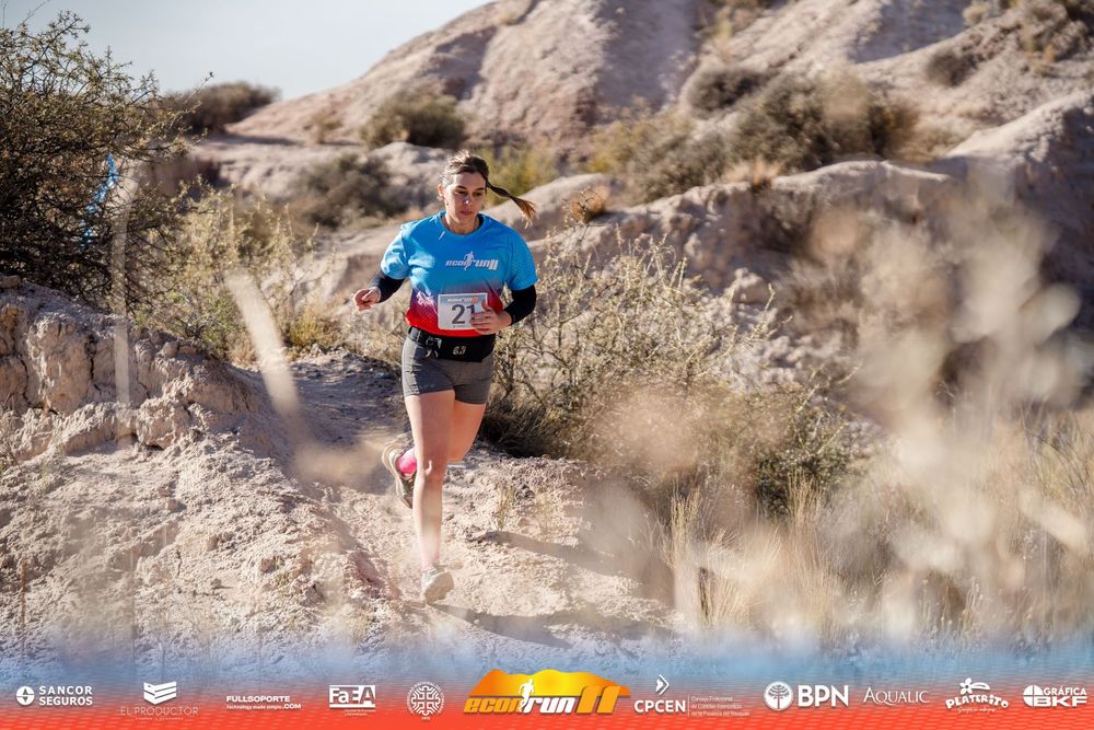 Econrun Edición 11