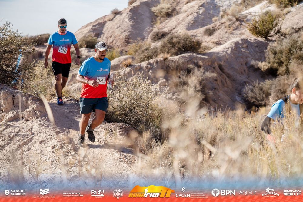 Econrun Edición 11