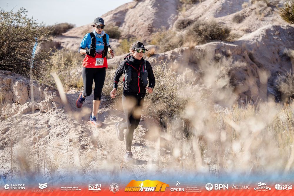 Econrun Edición 11