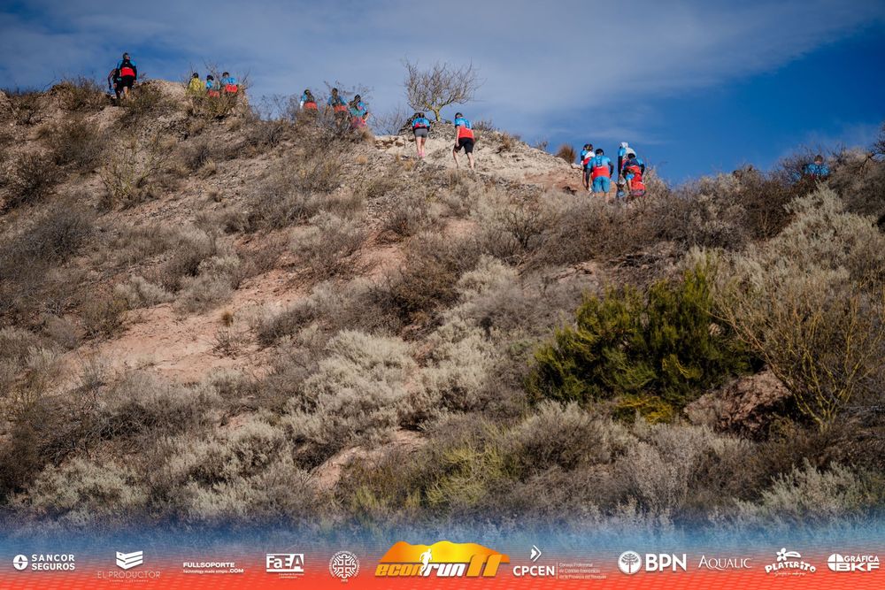 Econrun Edición 11