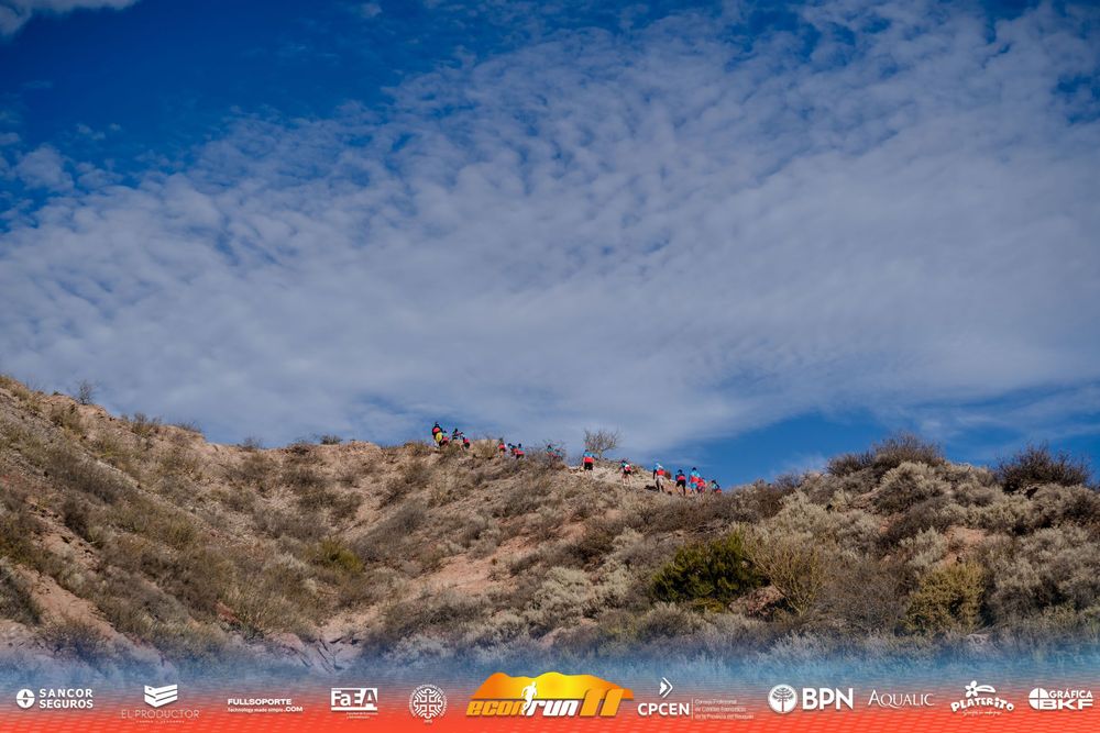 Econrun Edición 11