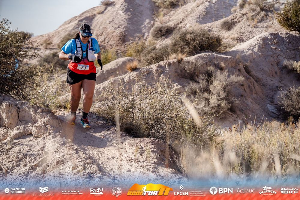 Econrun Edición 11